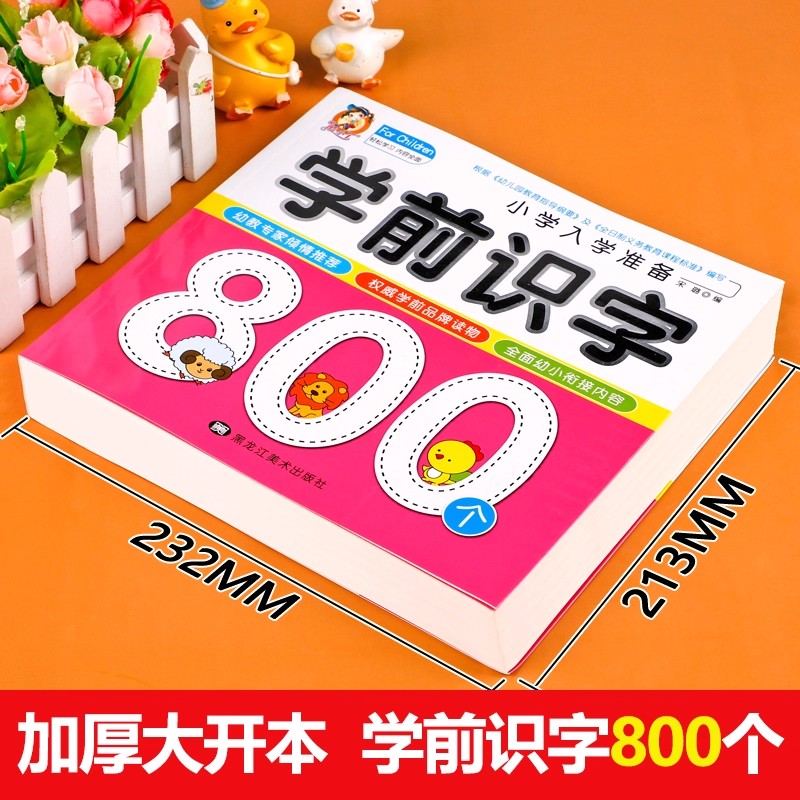 Preschool Literacy: 800 Chines - Kids Education Book 评论和价格